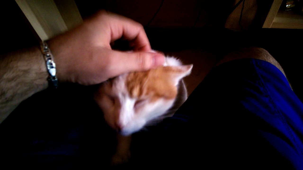 Canela pide mimos