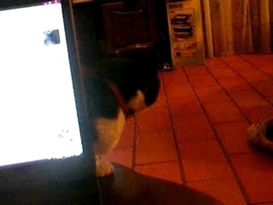 Ice devant le pc