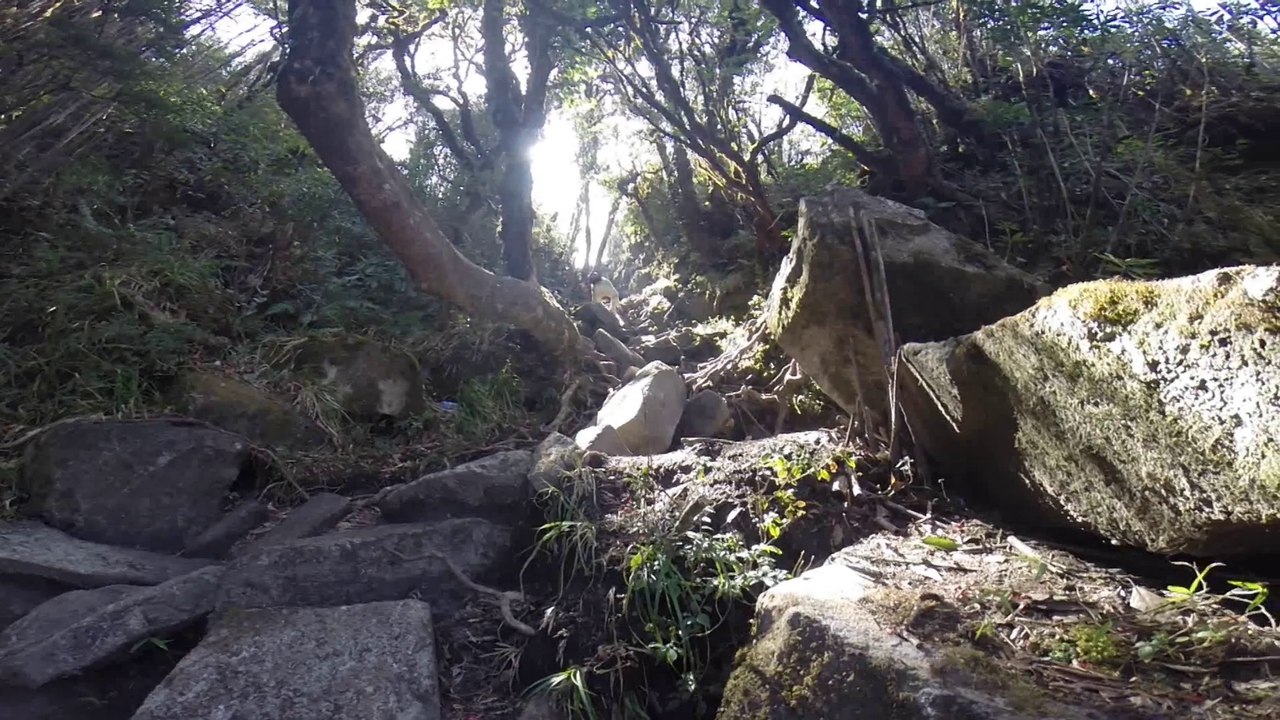 Southeast Asia Trip Aftermovie