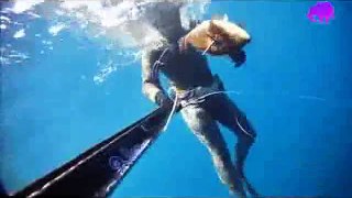2013 Fish hunt and Fishing video spearfishing at Turkey