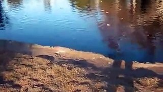 2013 fishing fails Fish hunt