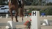 GRAND NATIONAL 2015 - AUVERS Dressage n5