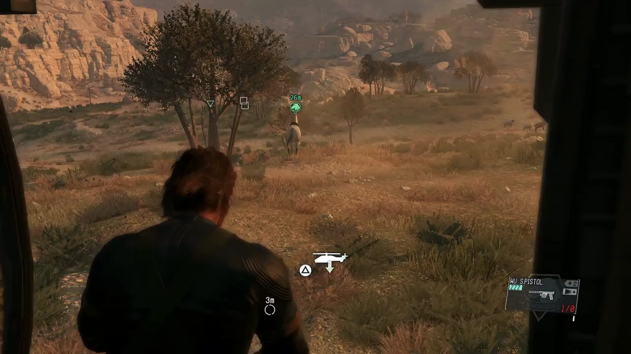 Flying Horse!