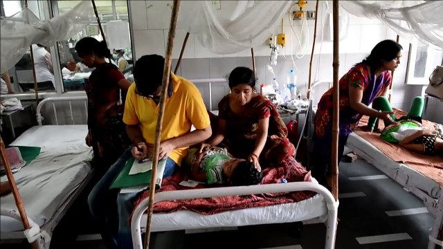 Delhi hospitals treat worst dengue outbreak in five years