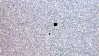 Klasky Csupo Movie Logo