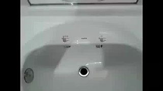 A Wash Basin That Everyone Wants