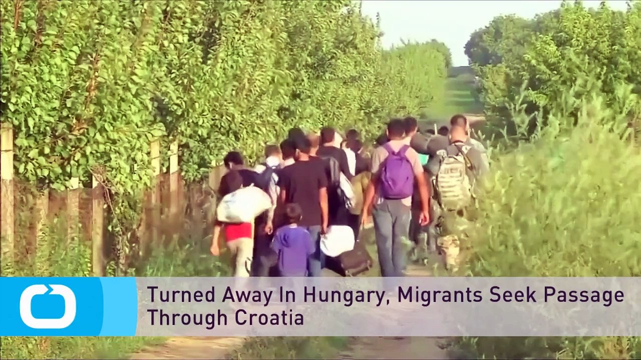 Chaotic scenes at Hungary border as police fire tear gas at migrants