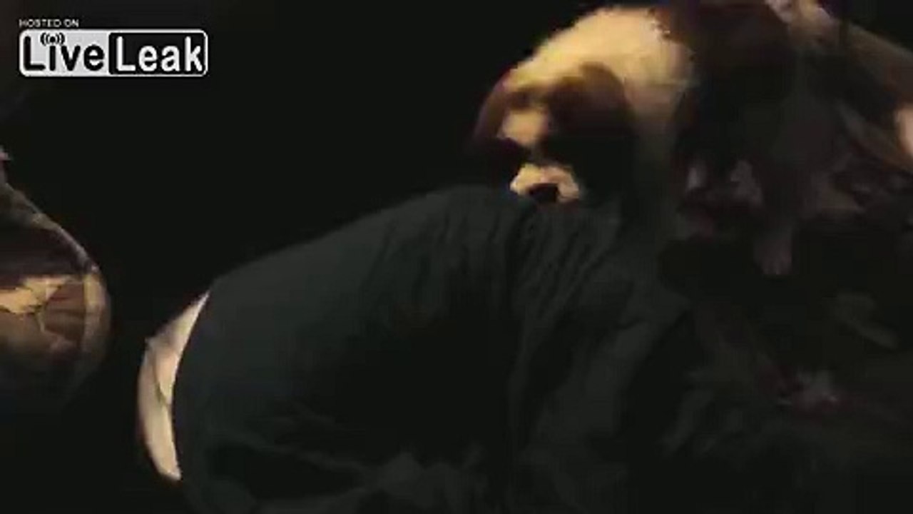 Funny dog humping