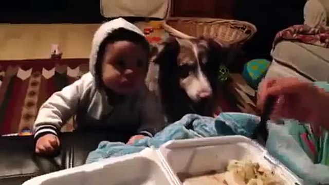 Пес сказал то, что не смог малыш!