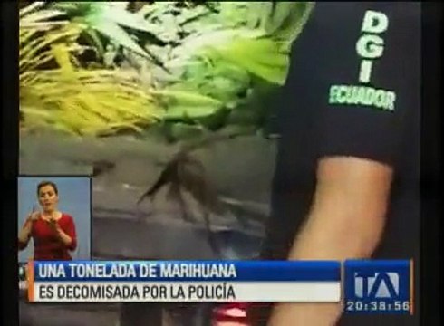 Una tonelada de marihuana es fue decomisada por la Policía