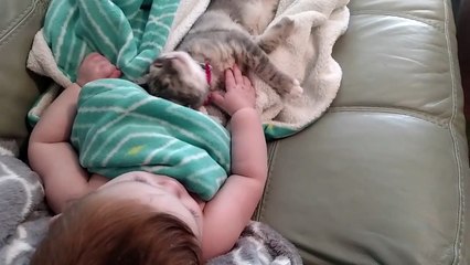 Un bébé et un chaton se réveillent de la sieste