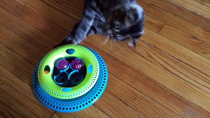 Gary-playing-with-Toys-R-Us-Pets-Chase-Trac