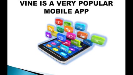 Buy Real Vine Followers To Get Positive Response