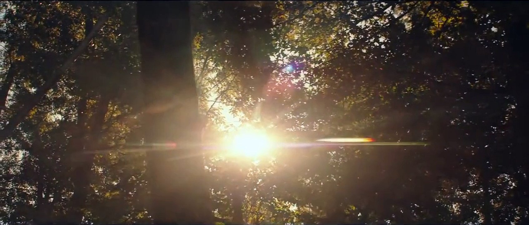 The Hunger Games- Mockingjay - Part 2 (2015) Official Trailer #2 - Jennifer Lawrence