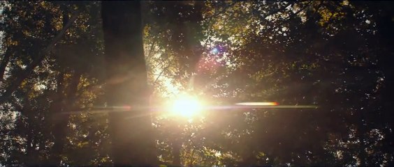 The Hunger Games- Mockingjay - Part 2 (2015) Official Trailer #2 - Jennifer Lawrence