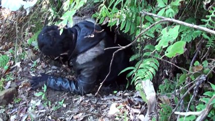 TGS 2015: Final Fantasy XV location hunting video with better quality.