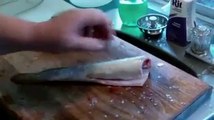 OMG!!! Dead Fish is still Alive - Amazing