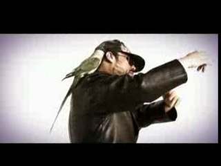 Clip WAZOU - Ya zina jibi chicha