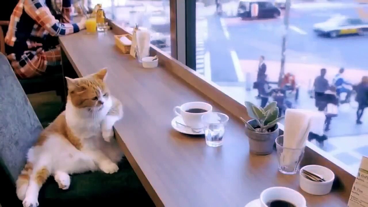 Coffe break