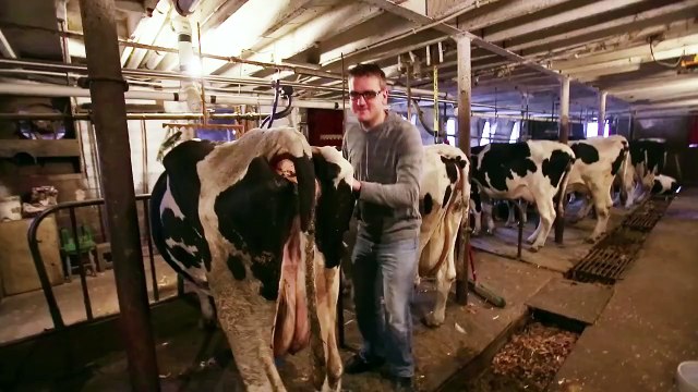 Il met 6 mois et dépense 1500 dollars pour préparer son propre sandwich