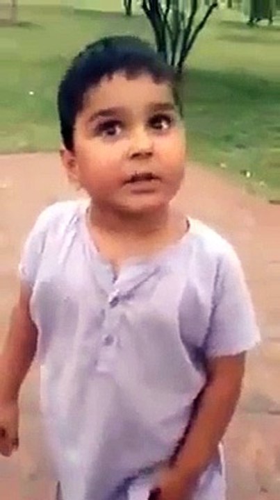 funny video