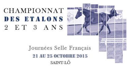 Championnat des Etalons 2 et 3 ans 2015 - Teaser