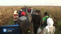 Des milliers de migrants rejoignent la Croatie
