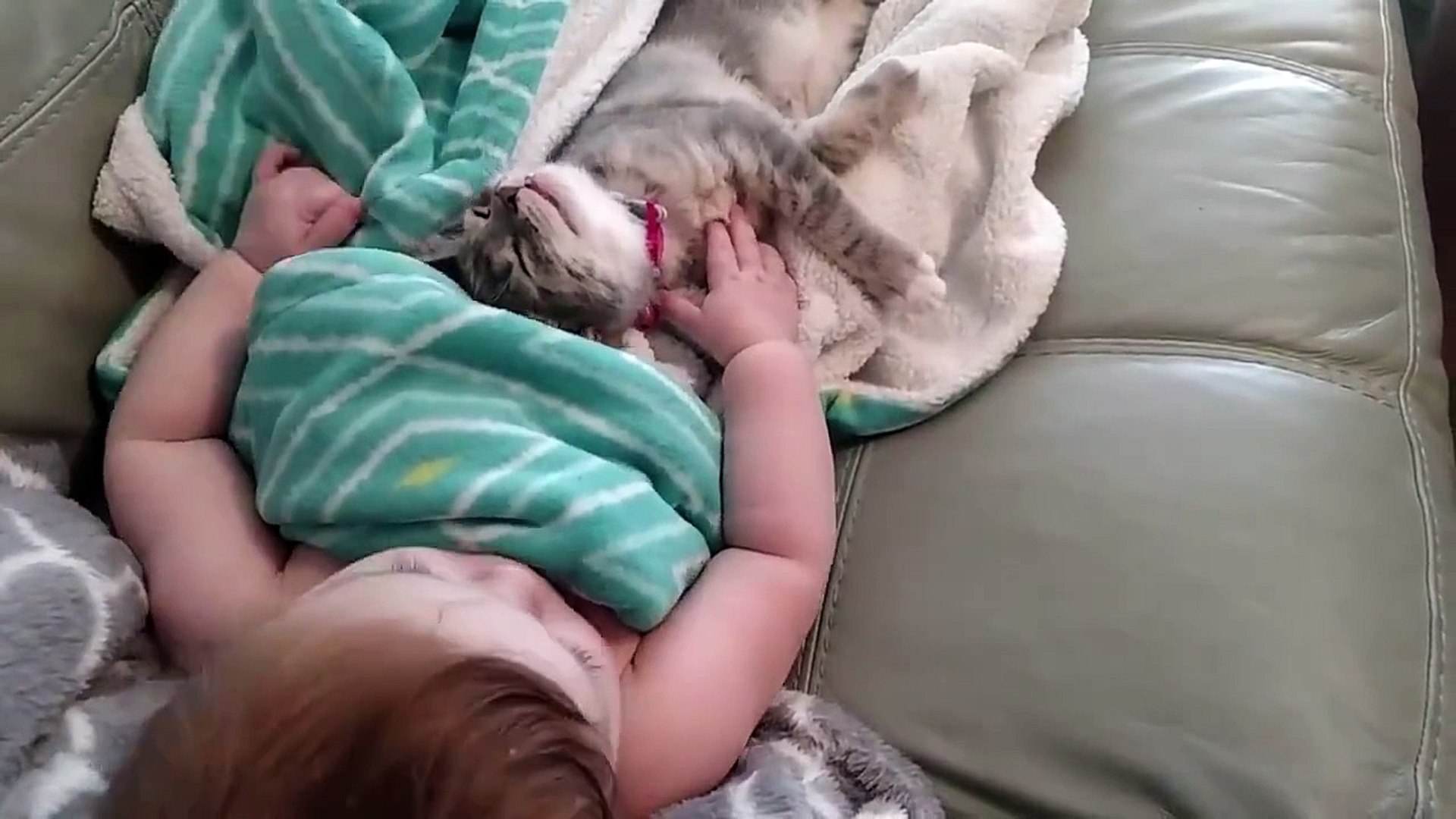 Un Bebe Et Un Chat Qui Font Dodo Ensemble Trop Mignon Video Dailymotion