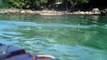 Pegada de carbono, reduzindo, barco navegando com garradas PET de 2 litros, todo reciclado, Ubatuba, SP, Brasil, (77)