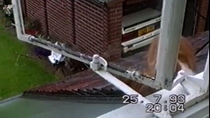 Cats Losing Their Balance