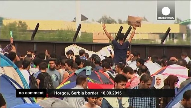 Tear gas claims as refugees stage protest on Hungary-Serbia border