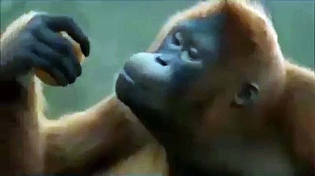 Imran Khan de Jalsay ech aaj mera nachnay nu jee karda aa