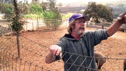 Etats-Unis: les incendies ravagent toujours la Californie