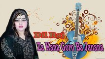 Dil Raj - Za Kana Goro Ba Janana
