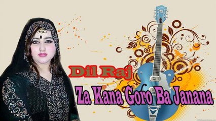 Dil Raj - Za Kana Goro Ba Janana