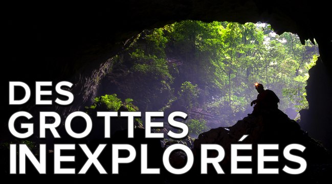 Lastoursville : une expédition à la recherche de grottes inexplorées