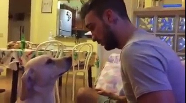 Dog desperately asking for forgiveness.