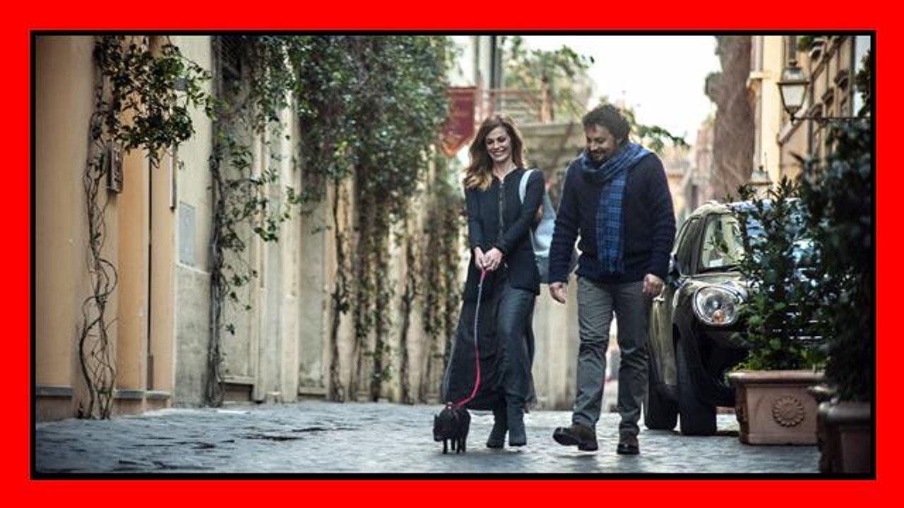 Tutte lo vogliono, conferenza stampa, la dura vita sul set di Brignano con gli animali