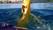 Pegada de carbono, reduzindo, barco navegando com garradas PET de 2 litros, todo reciclado, Ubatuba, SP, Brasil, (101)