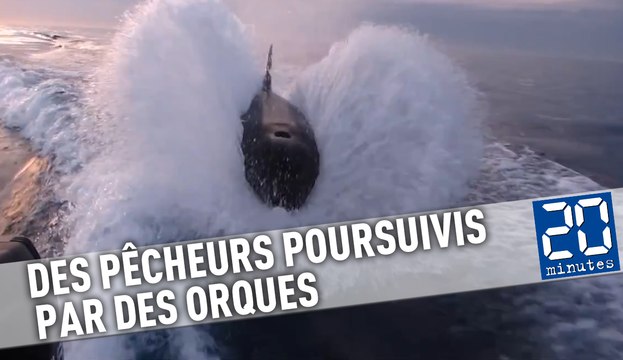 Deux pêcheurs poursuivis par plusieurs orques aux Etats-Unis