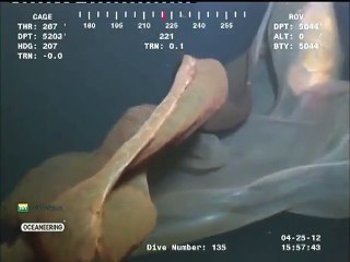 Massive Unidentified Sea Monster Caught on Video Off Oil-Rig