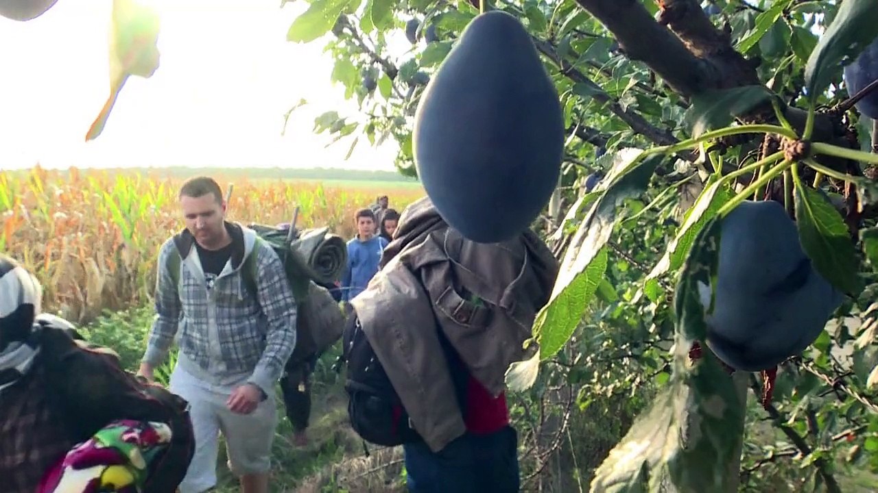 Neue Route: Erste Flüchtlinge erreichen Kroatien