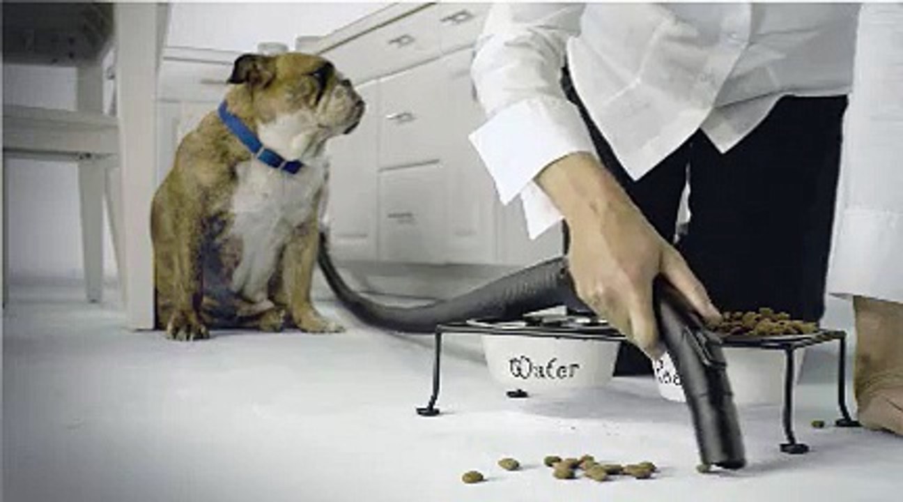 Vroom : Flexible retractable - Homexity