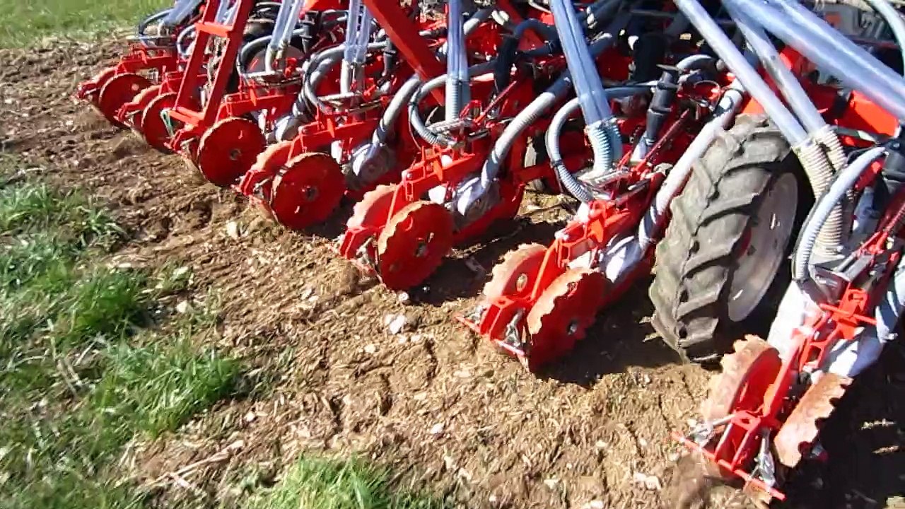 Semis direct de tournesol