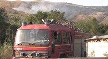 Lushnje , Digjen ullishtet, zjarri nga pakujdesia, shkrumbohen 1 mijë fidanë- Ora News