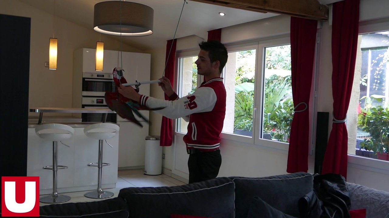 Des animaux "stars" de vidéos gags à Reims