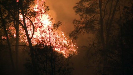 Doce incendios activos en California
