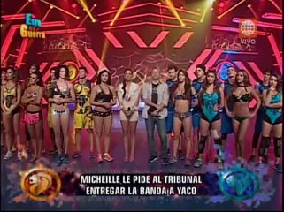 Michelle Soifer quiso dejar la capitanía y esto pasó