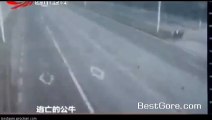 Escaped Bull Rams Motorcyclist on Highway in China