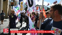 Les profs protestent contre la réforme du collège à Toulouse